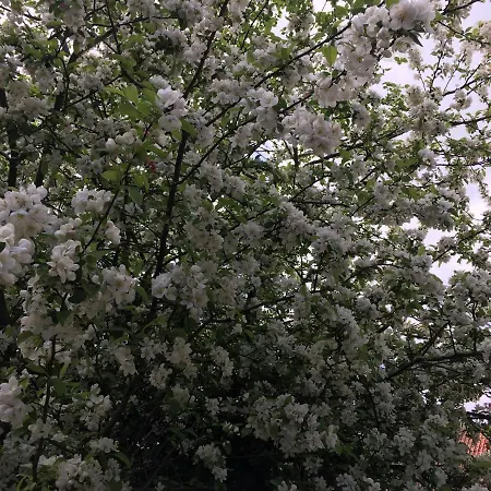 דירה Woodcock Farm