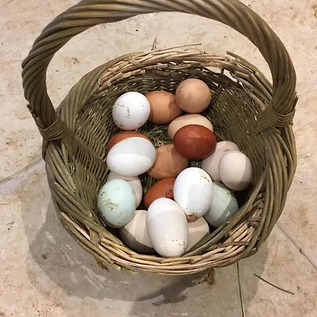 Woodcock Farm דירה בריסטול