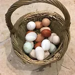 Woodcock Farm דירה בריסטול