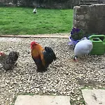 Woodcock Farm *