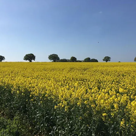 Woodcock Farm Apartment *