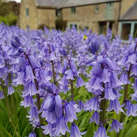 Woodcock Farm *