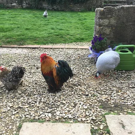 Woodcock Farm *
