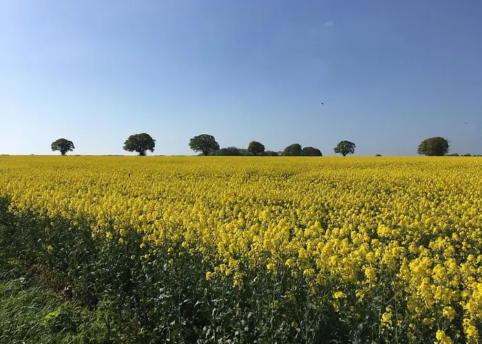 Woodcock Farm Apartment *