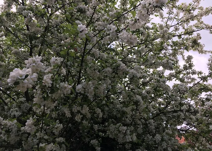 Apartman Woodcock Farm