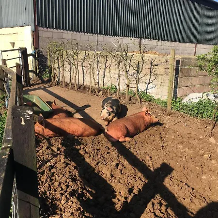 アパート Woodcock Farm ブリストル