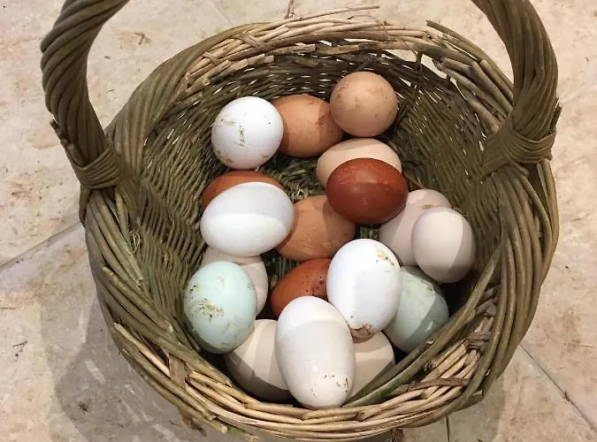 Woodcock Farm Apartamento Bristol