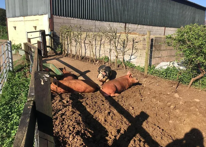 Apartamento Woodcock Farm Bristol